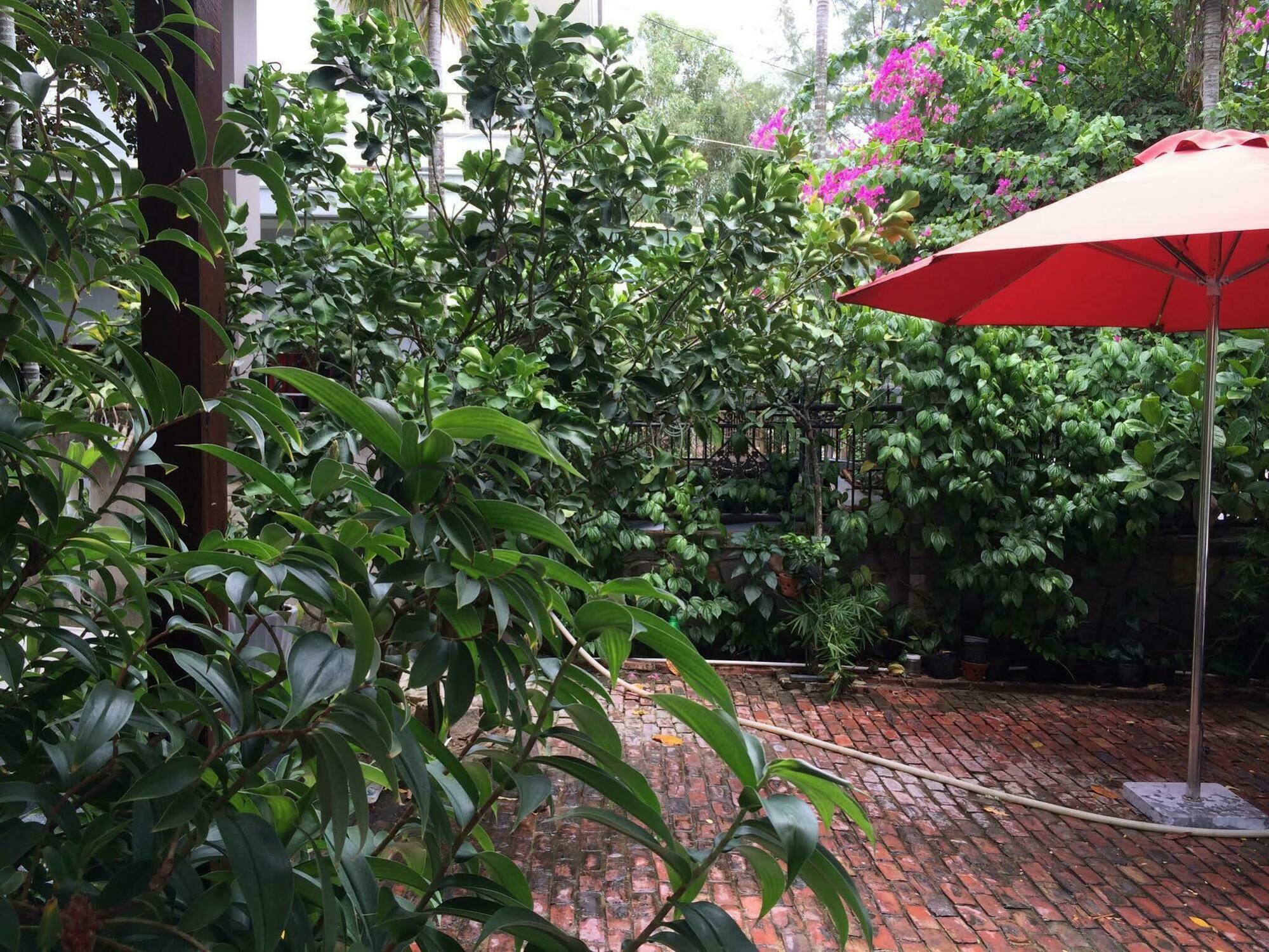 Mama'S House Hoi An Homestay Esterno foto